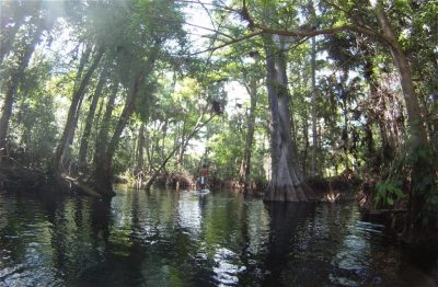 Man on standup paddle board in Florida