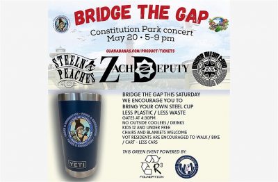 Bridge the Gap Flyer 2