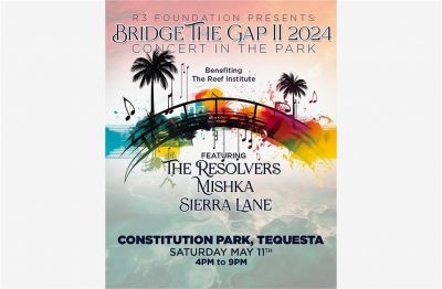 Bridge the Gap Flyer